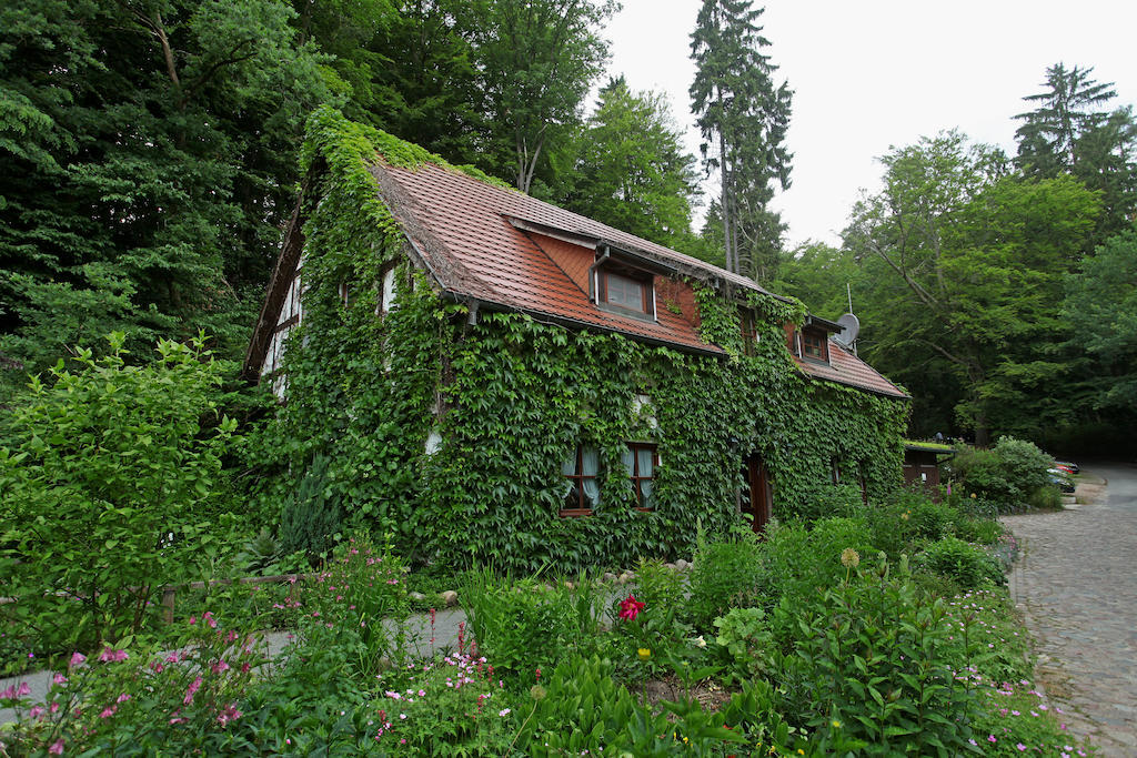 Hotel Boltenmuehle Guhlen Glienicke Rum bild