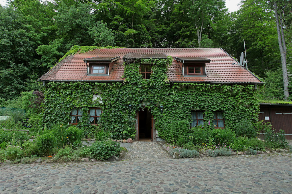 Hotel Boltenmuehle Guhlen Glienicke Rum bild